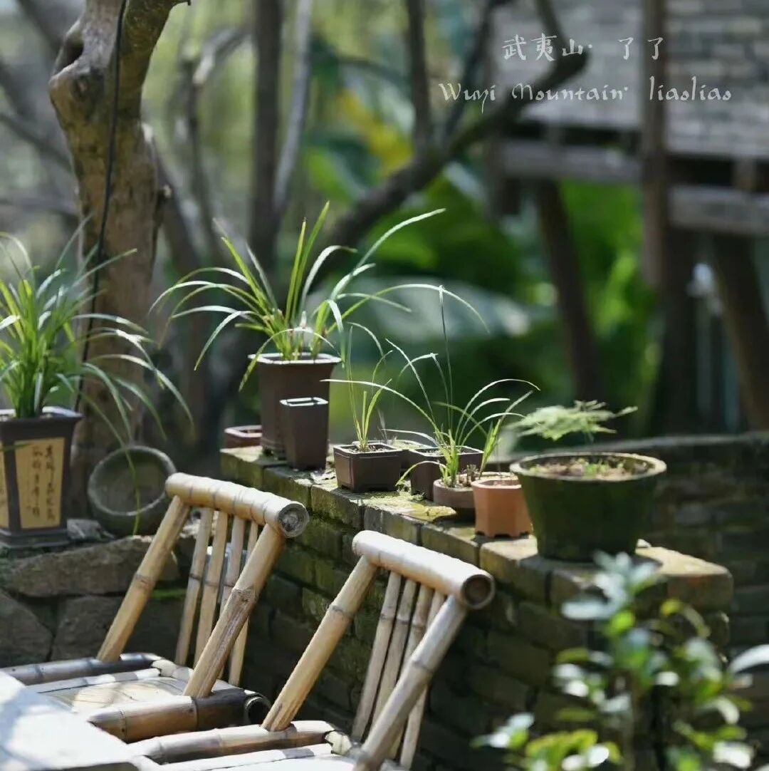 清雅之人，宜茶，宜書