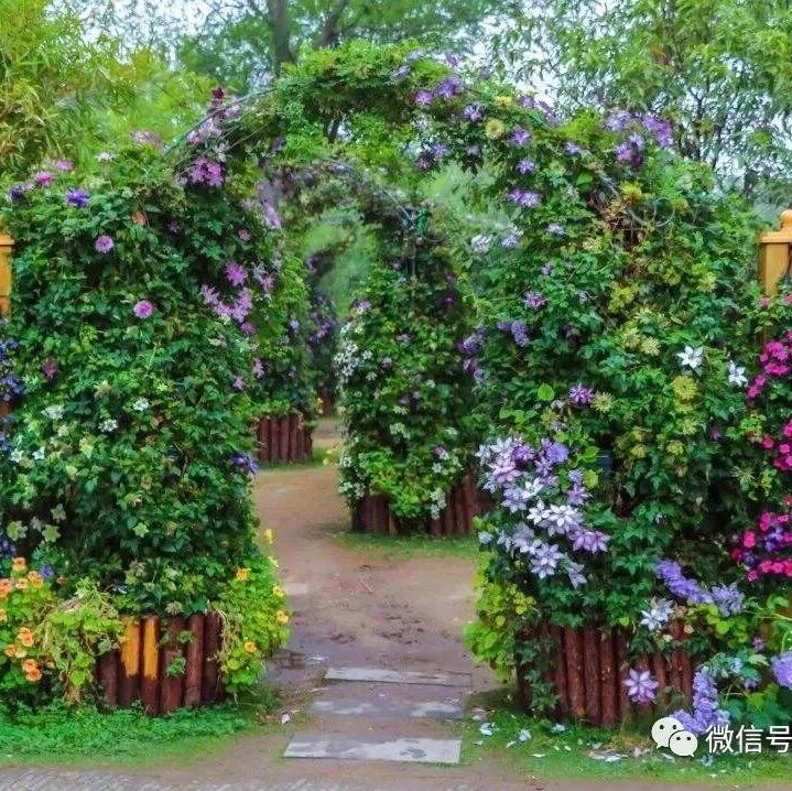 最美的庭院，就在春天