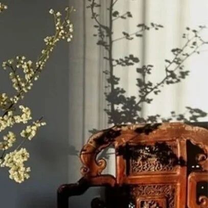 用雅趣养几分闲情，才是生活最好的模样。