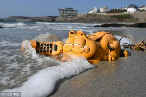 35年谜团得解！法国一海岸常年漂来“加菲猫”原因是…（视频/组图） - 1