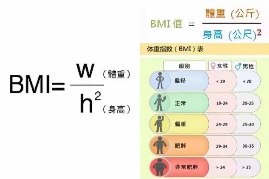 什么是bmi指数 体格大师人体成分分析仪告诉你 广州市智禾电子科技有限公司