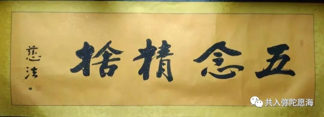 答疑 克服恐慌得真实安心 共入弥陀愿海 微信公众号文章阅读 Wemp