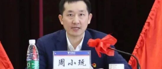 这个电信省公司副总亲自兼任地市分公司一把手 全国都不多见