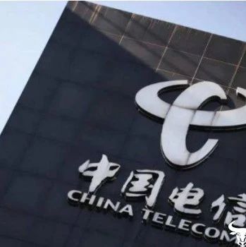 选出五家“标杆省”:中国电信很重视这项工作 其他省公司仍需努力