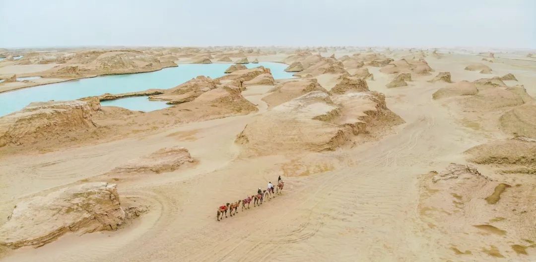 關於青甘大環線，這裡只有美美美美麗的圖 旅遊 第43張