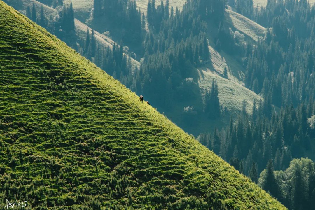 獨庫公路，此生必駕天路！ 旅遊 第37張