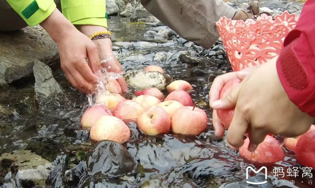 登山初體驗：走著走著就登上了那瑪峰 旅遊 第25張