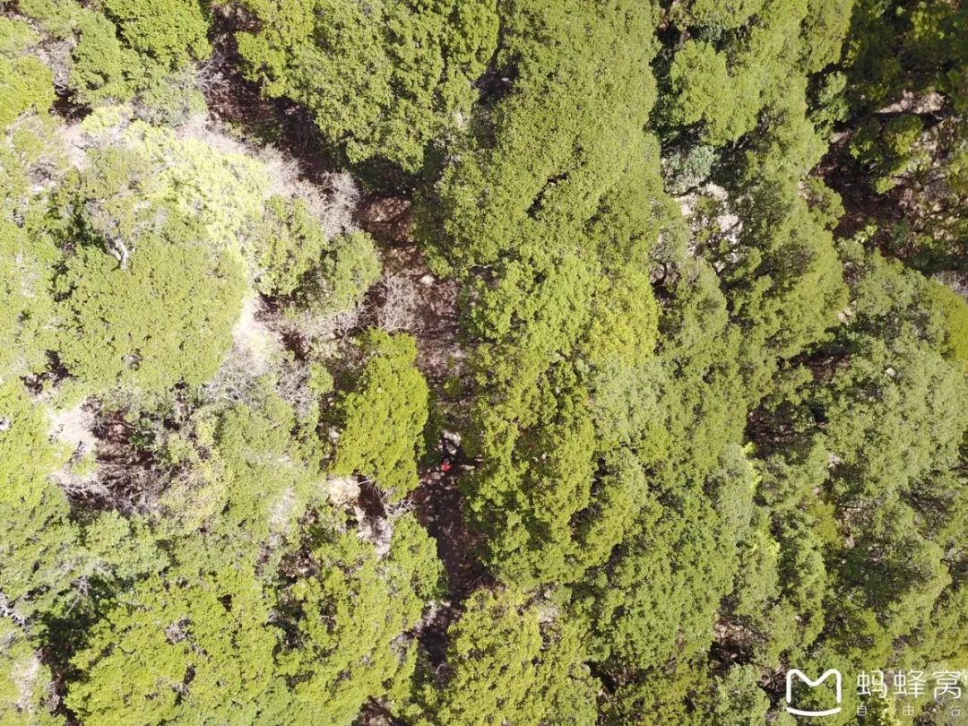 登山初體驗：走著走著就登上了那瑪峰 旅遊 第14張