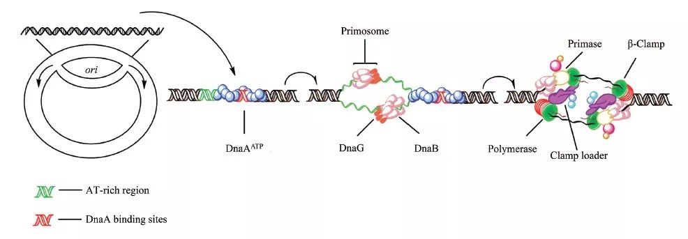 画示意图的软件 推荐一个强大的文章示意图绘制工具