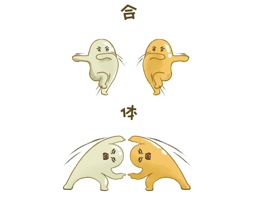 做试管婴儿，胚胎移植少不了Ta，你知道吗？