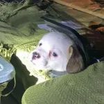 激怒4.6亿人,央视下场痛批!最“反人性”的生意,还在疯狂敛财