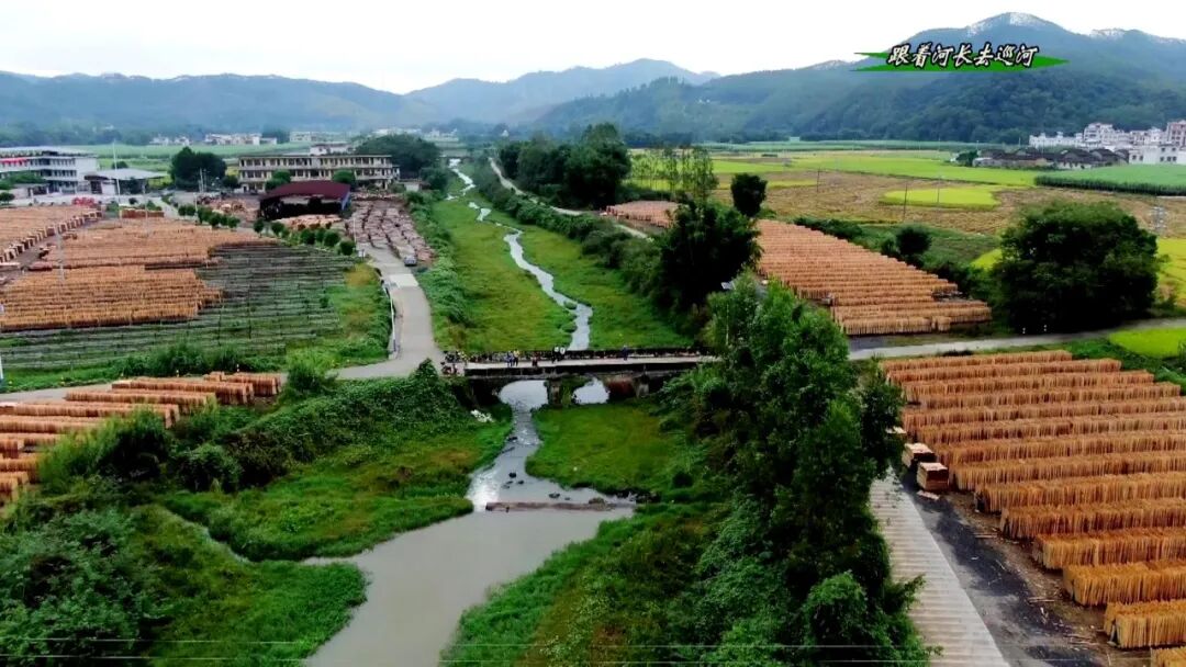 周陂镇:让"河长制"为实现水清河畅"把脉问诊"-翁源县人民政府