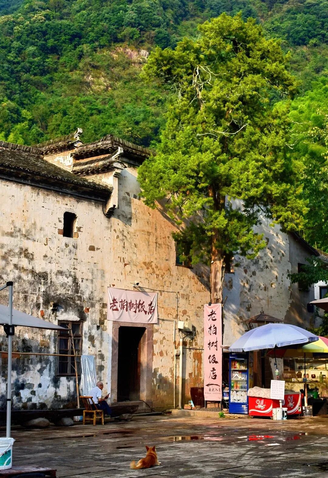 桐庐石舍古村出行攻略，明清建筑+马岭古道徒步详解