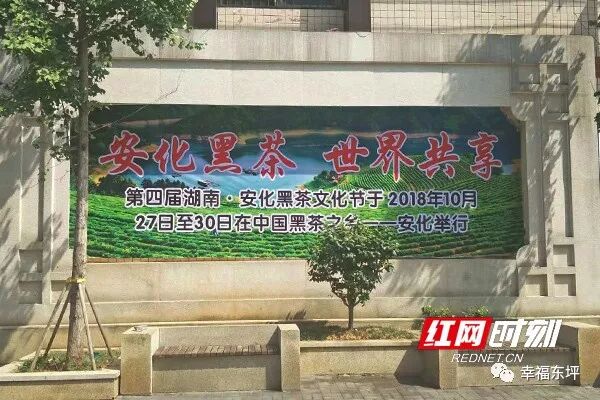 黑茶文化节将至 安化全民推荐氛围浓