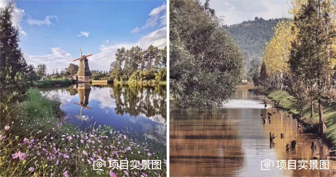 点击查看大图