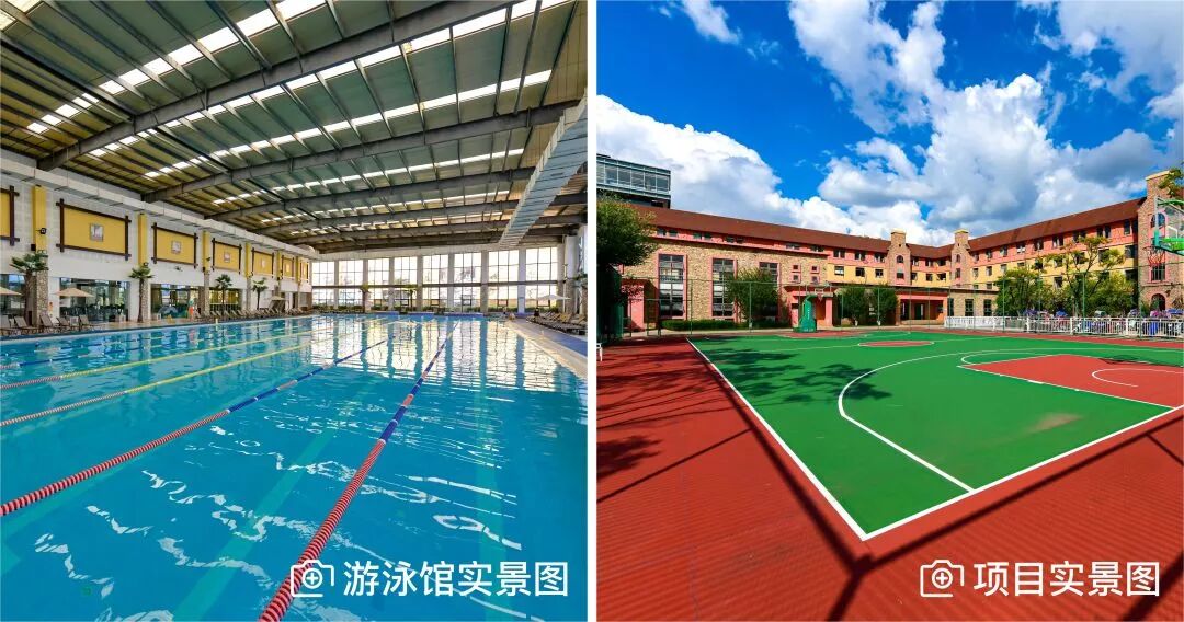 点击查看大图