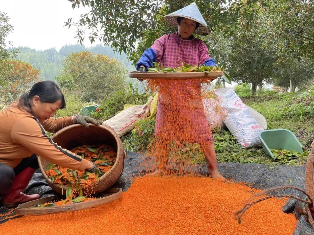 �����ɵ�ð�𣬾�����һ�������ˣ������ͷ�󵽽�