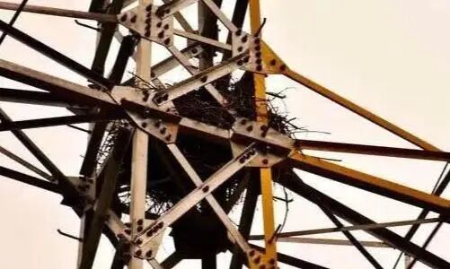 电杆上的橘色的小风车有什么用？为什么有的上边有，有的上边没有？的图5