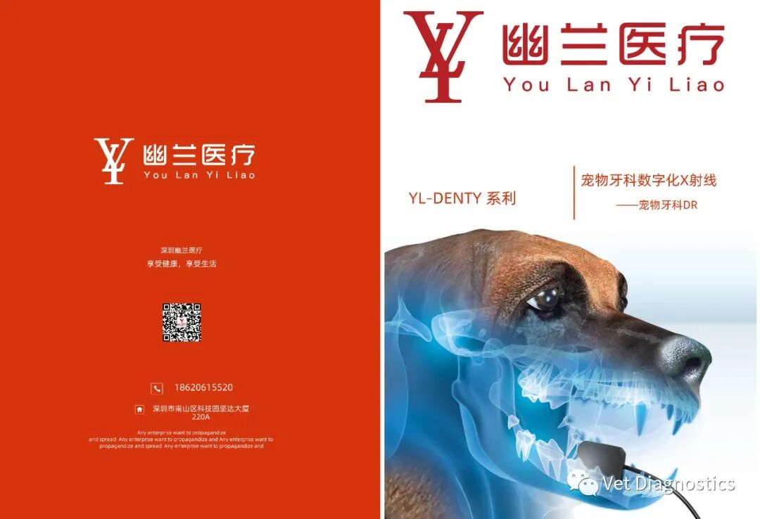 口腔 DR机器怎么用牙科X光（DR／CR）的重要性_https://www.jmylbn.com_新闻资讯_第5张