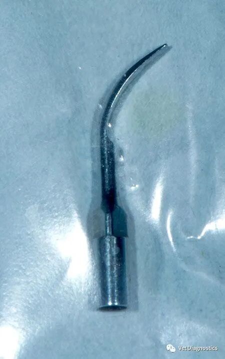 为什么牙医不用开口器兽医牙科基础知识：N代表NO_https://www.jmylbn.com_新闻资讯_第14张