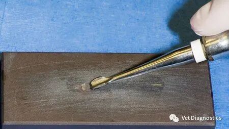 为什么牙医不用开口器兽医牙科基础知识：N代表NO_https://www.jmylbn.com_新闻资讯_第13张