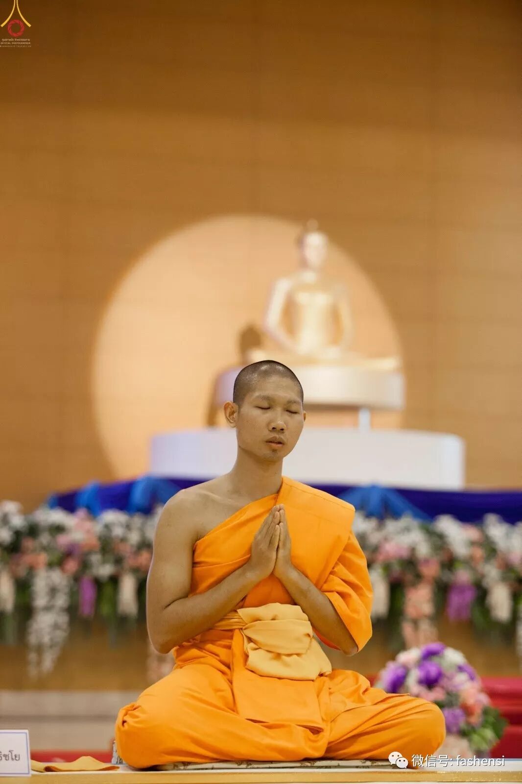 随喜七位立愿终身出家为僧的比丘供养仪式 – 泰国法身寺 / 法身基金