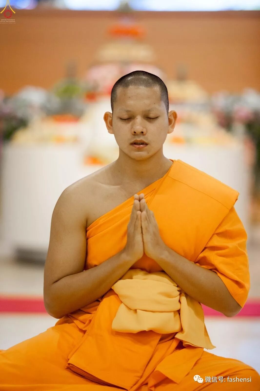 随喜七位立愿终身出家为僧的比丘供养仪式 – 泰国法身寺 / 法身基金