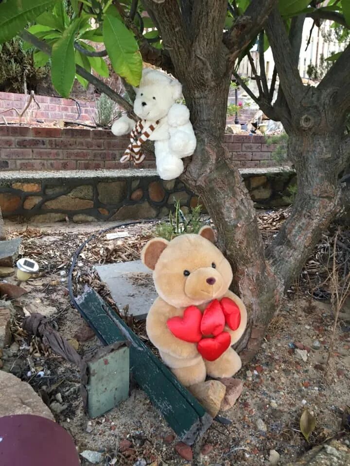“善良大流行”！让一度因疫情慌了手脚的澳人，重新记起了自己的善良（组图） - 38