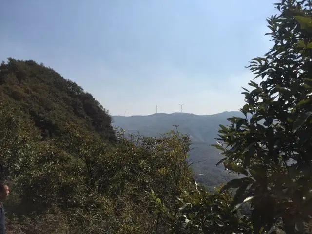 河南這個村不得了，獨家擁有仨景區，個個風景絕美，其中倆還免票！ 旅遊 第4張