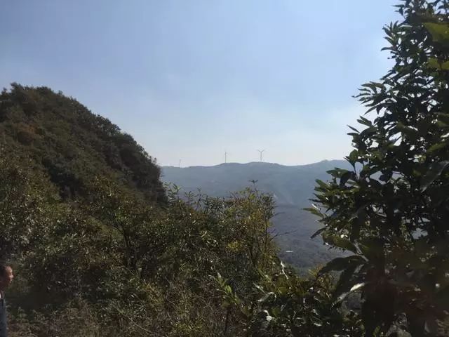 河南這山村厲害了！獨家擁有3個景區，其中兩個還免票！ 旅遊 第3張