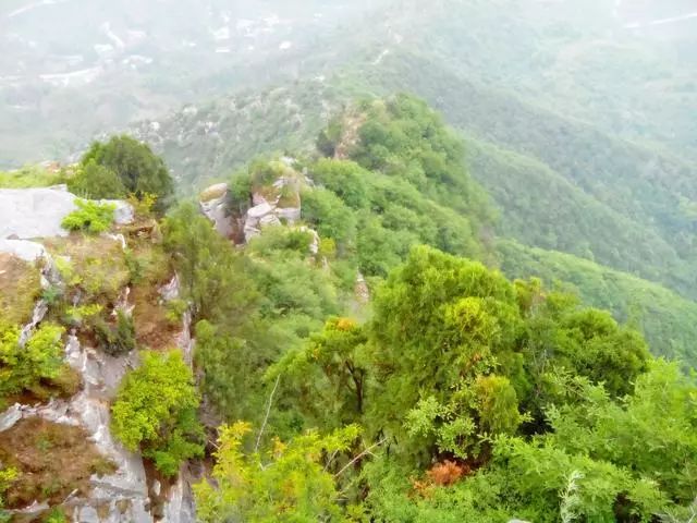 河南這山村厲害了！獨家擁有3個景區，其中兩個還免票！ 旅遊 第18張