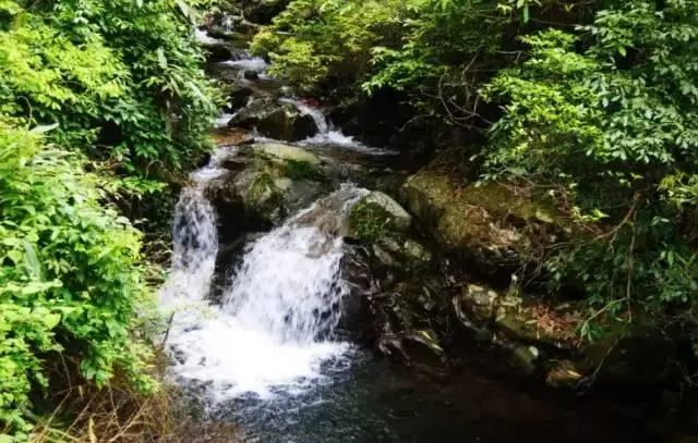 河南這個市太給力了！34家A級景區暑假全免門票，包括5A級景區！ 旅遊 第19張