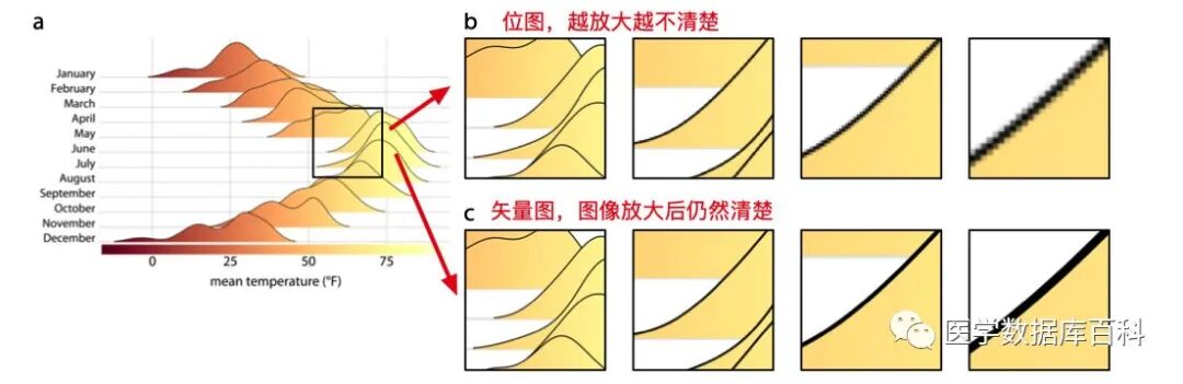 如何减小pdf文件的大小 了解最常用的图片文件格式