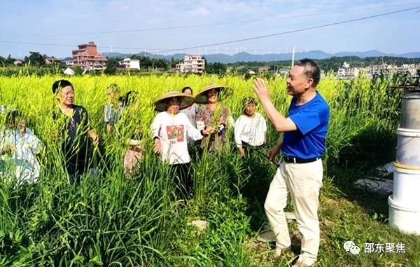 致富项目商机_致富经.._致富好项目