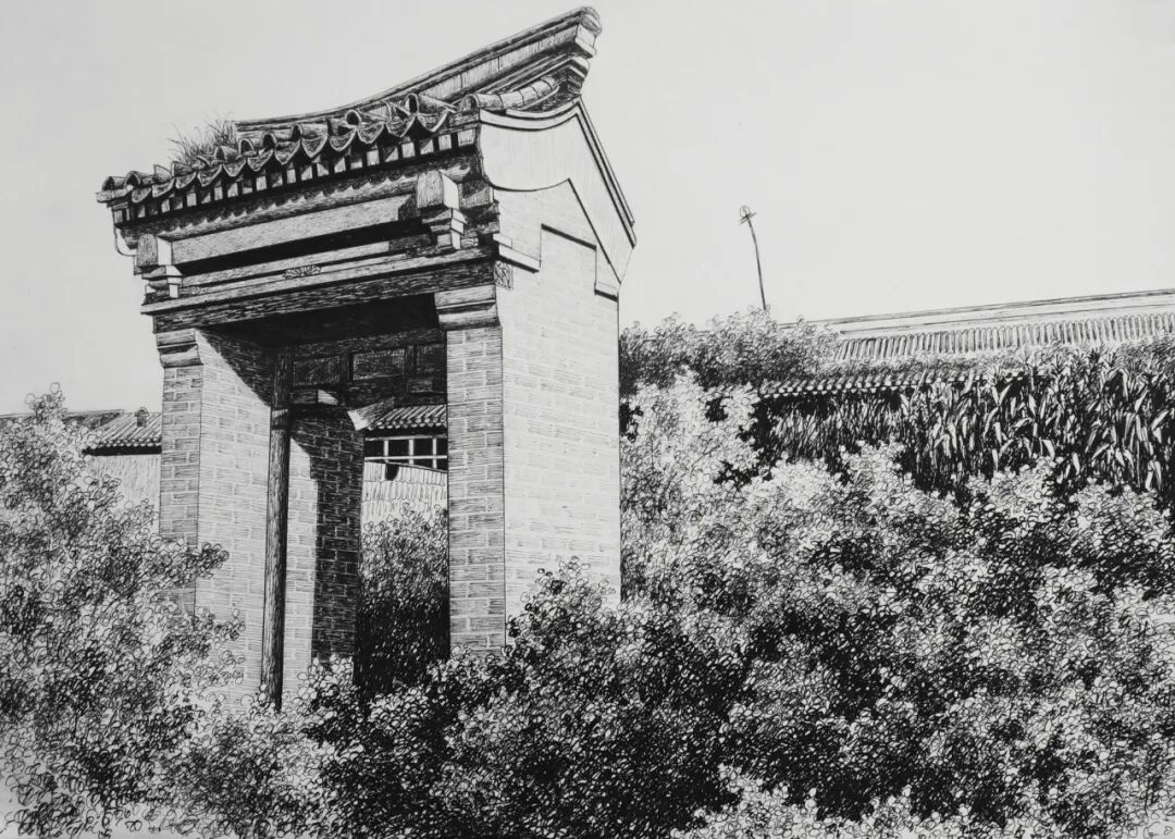 河北蔚县：马英强的钢笔画(图5)