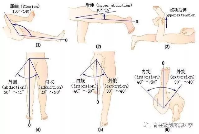 髋关节内旋,外旋检查