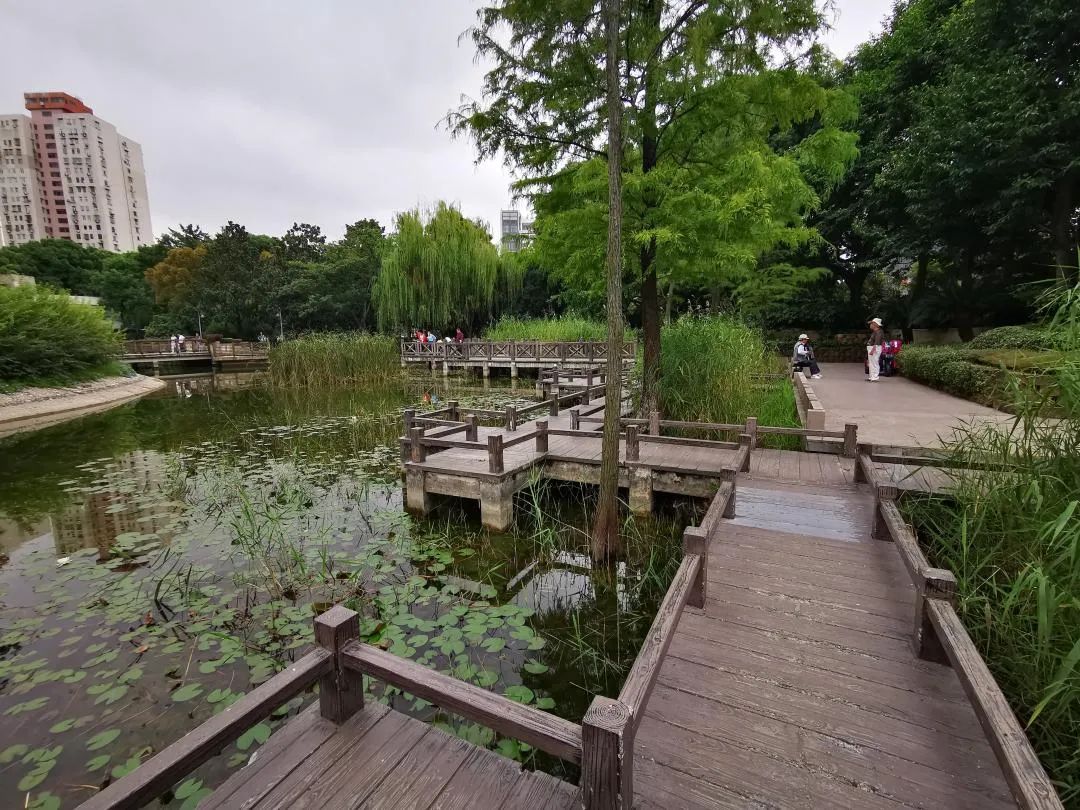 假山疊水,水榭茶室,旱噴廣場,休息廊架,木棧道,中心景觀長橋,籃球運動