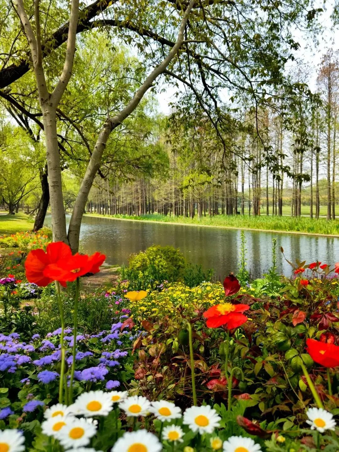 白碧桃图片_白碧桃_白碧桃花小程序