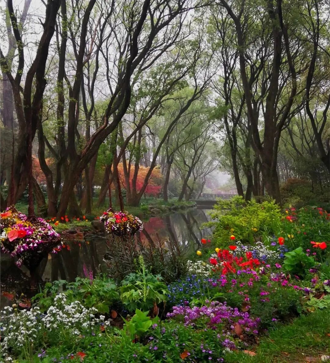 白碧桃图片_白碧桃_白碧桃花小程序