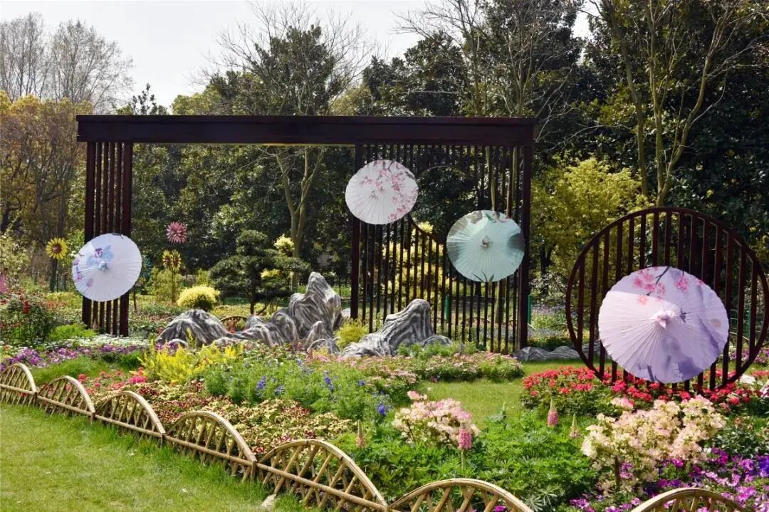 白碧桃_白碧桃图片_白碧桃花小程序