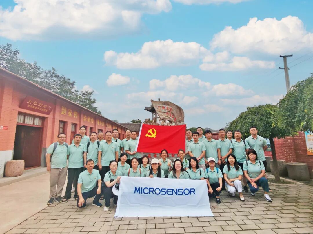 弘揚(yáng)廉潔文化，強(qiáng)化紀(jì)律觀念——麥克黨支部開展主題黨日活動(dòng)