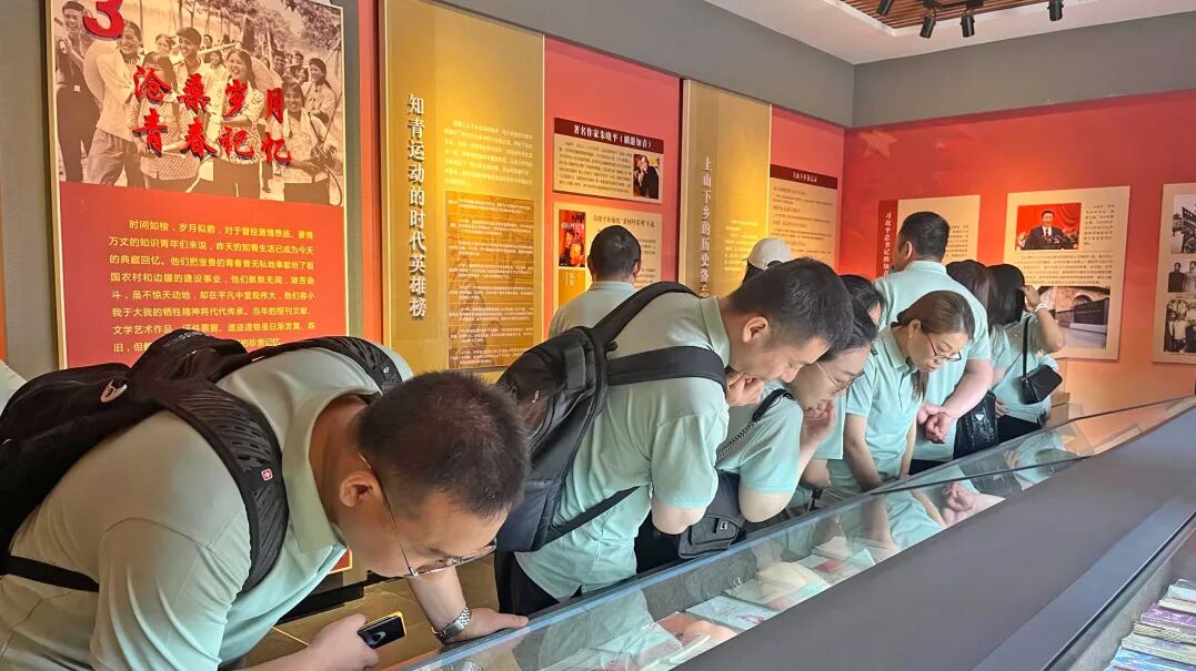 弘揚(yáng)廉潔文化，強(qiáng)化紀(jì)律觀念——麥克黨支部開展主題黨日活動(dòng)