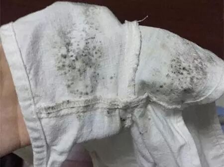 發(fā)霉衣物