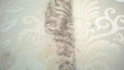 發(fā)霉的窗簾