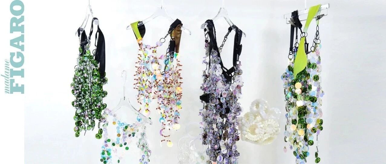 她们的绿色尝试