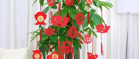 春节在家摆一盆“招财树”，财源滚滚过大年！~