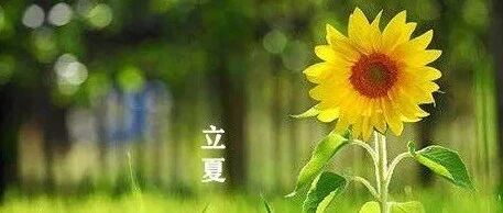 今日立夏!分享8个夏季养花小姿势，收藏啦~