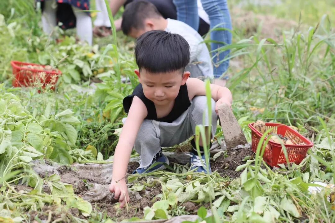 创业项目排行榜创业项目加盟店_创业好项目白手创业网_休闲果园是创业项目