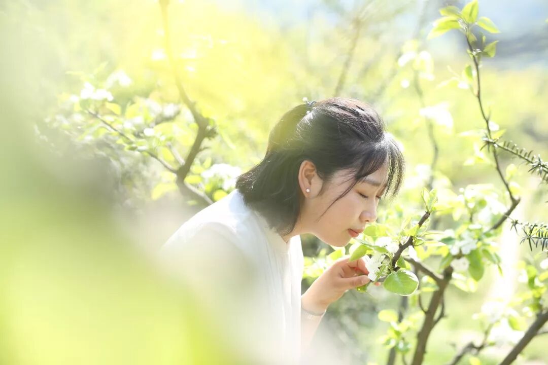 休闲果园是创业项目_创业项目排行榜创业项目加盟店_创业好项目白手创业网