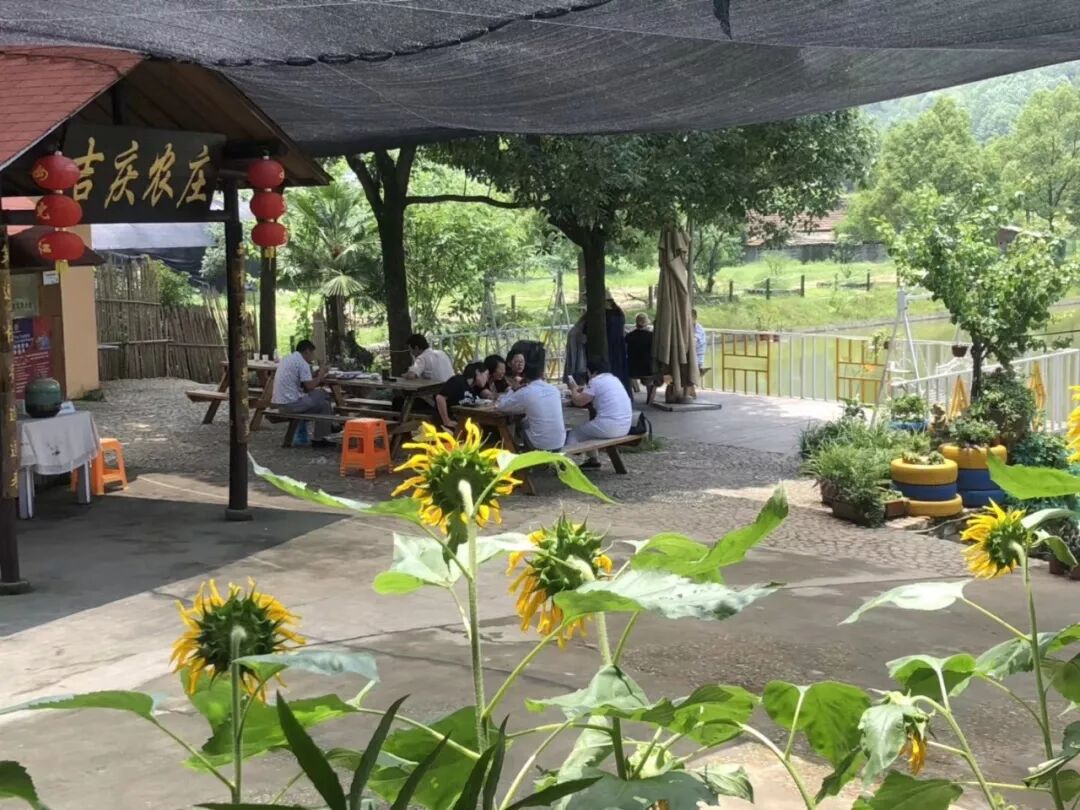 创业项目排行榜创业项目加盟店_创业好项目白手创业网_休闲果园是创业项目